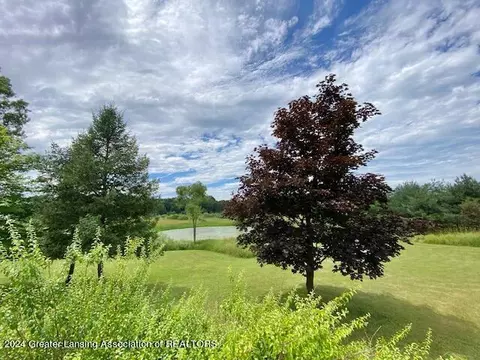 Other - 4245 Beeman Rd, Williamston, MI 48895 photo 11 of 17
