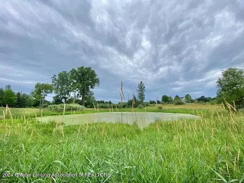 Other - 4245 Beeman Rd, Williamston, MI 48895 photo 16 of 17