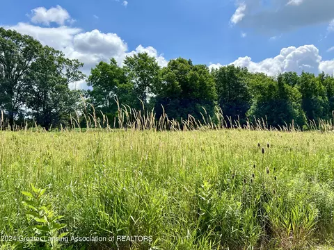 9810 Craun Rd, Dewitt, MI 48820 photo 6