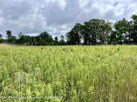 9810 Craun Rd, Dewitt, MI 48820 photo 9