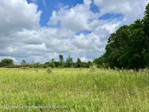 9810 Craun Rd, Dewitt, MI 48820 photo 3