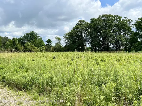 9810 Craun Rd, Dewitt, MI 48820 photo 4