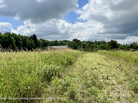 9810 Craun Rd, Dewitt, MI 48820 photo 8