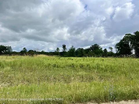 9810 Craun Rd, Dewitt, MI 48820 photo 11