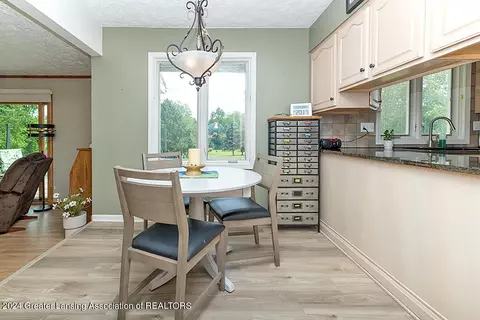 6704 E Galway Cir, Dimondale, MI 48821 photo 24