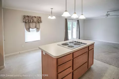 Other - 7745 Taragreen Dr, Lansing, MI 48917 photo 3 of 16