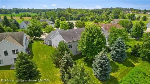 View/Area - 1252 Wineleaf Ln, Dewitt, MI 48820 photo 3 of 4