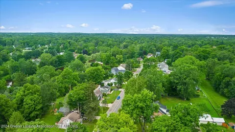 View/Area - 438 E Washington St, Dimondale, MI 48821 photo 3 of 12