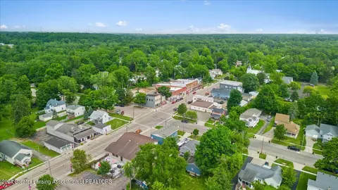 View/Area - 438 E Washington St, Dimondale, MI 48821 photo 10 of 12