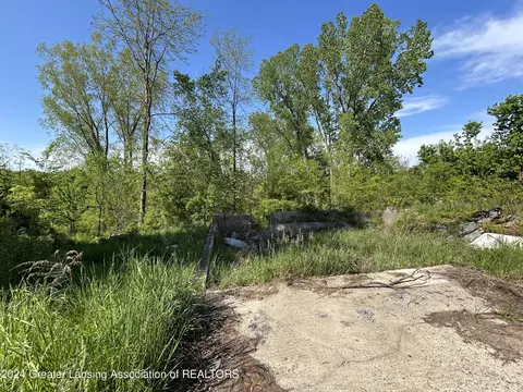 9731 E Coats Grove Rd, Woodland, MI 48897