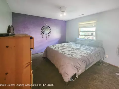 121 E Pearl St, Ovid, MI 48866 photo 9