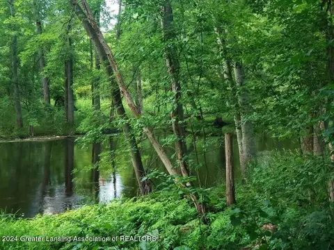 View/Area - 803 Elmwood St, Dewitt, MI 48820 photo 1 of 1