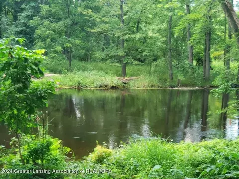 Other - 803 Elmwood St, Dewitt, MI 48820 photo 11 of 12