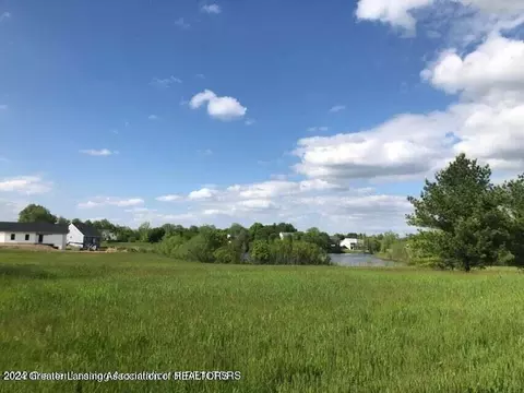 707 Landbridge, Perry, MI 48872 photo 6