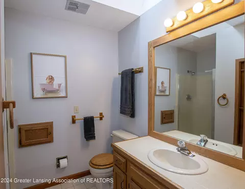Bath - 720 Tanbark Dr, Dimondale, MI 48821 photo 1 of 5