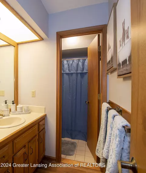 Bath - 720 Tanbark Dr, Dimondale, MI 48821 photo 3 of 5