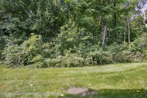 3631 E Meadows Ct, Okemos, MI 48864 photo 39