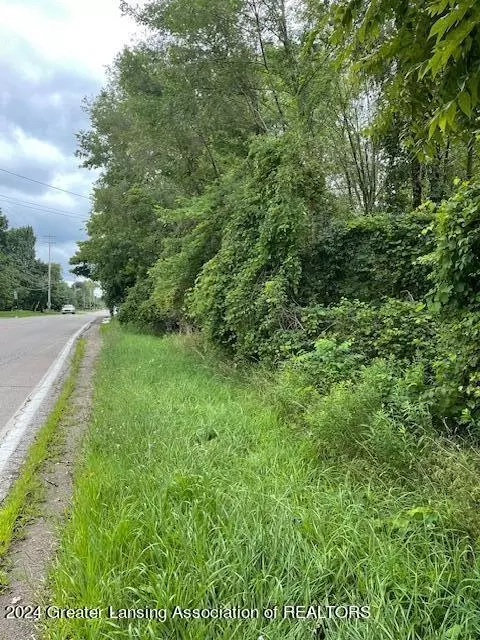 0 Aurelius Rd, Holt, MI 48842 photo 3