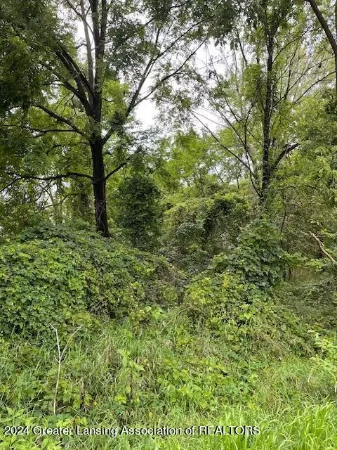 0 Aurelius Rd, Holt, MI 48842 photo 2