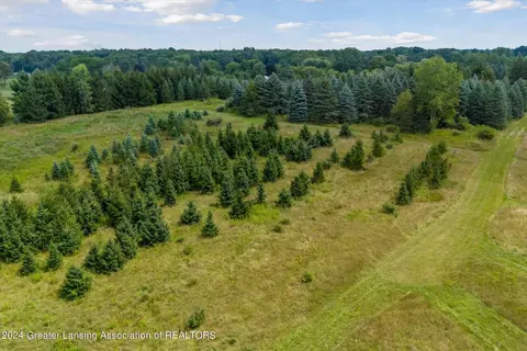 V/l W Alward Road, Dewitt, MI 48820 photo 11
