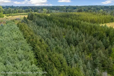V/l W Alward Road, Dewitt, MI 48820 photo 10