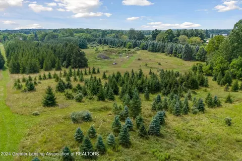 V/l W Alward Road, Dewitt, MI 48820 photo 6