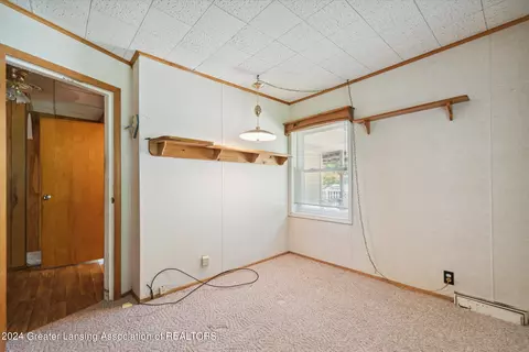 344 Elm St, Dimondale, MI 48821 photo 20