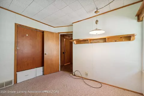 344 Elm St, Dimondale, MI 48821 photo 21