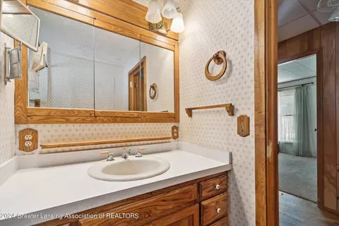 344 Elm St, Dimondale, MI 48821 photo 17