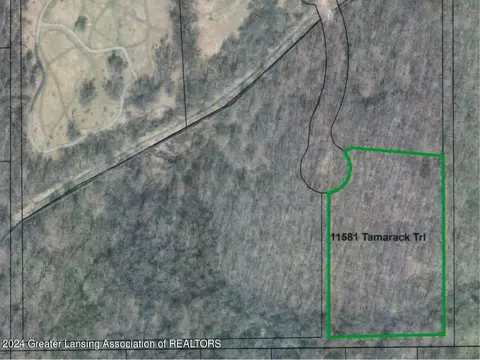 11581 Tamarack Trl, Bath, MI 48808