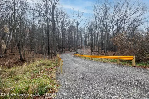 11581 Tamarack Trl, Bath, MI 48808 photo 8