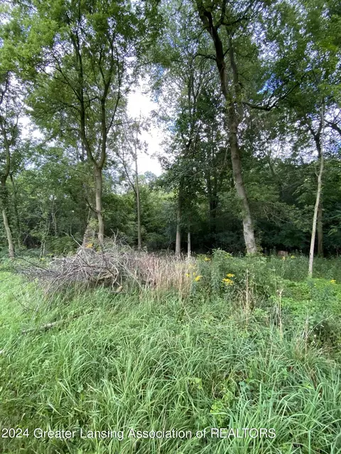 V/l Short Street, Owosso, MI 48867