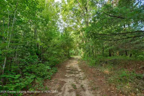 4790 S Wise Rd, Shepherd, MI 48883 photo 38