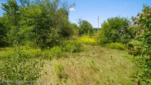 0 S Dewitt Rd, Saint Johns, MI 48879 photo 9