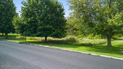 0 S Dewitt Rd, Saint Johns, MI 48879 photo 8