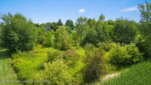 0 S Dewitt Rd, Saint Johns, MI 48879 photo 11