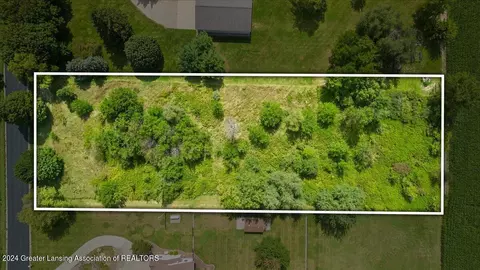 0 S Dewitt Rd, Saint Johns, MI 48879 photo 4