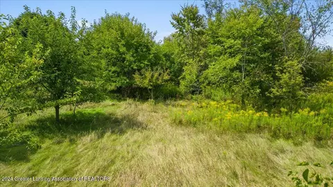 0 S Dewitt Rd, Saint Johns, MI 48879 photo 3