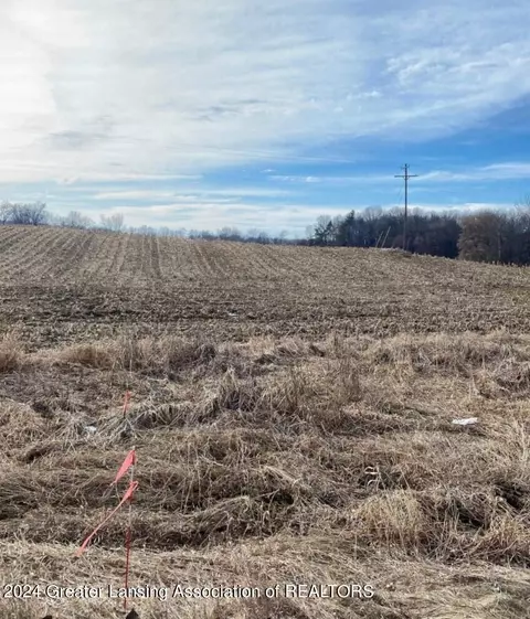 Undisclosed, Laingsburg, MI 48848