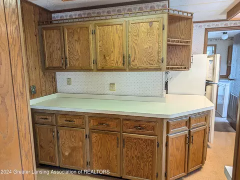 221 Burgess St, Lyons, MI 48851 photo 4