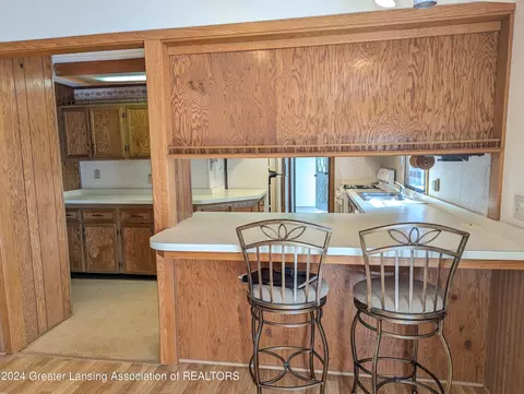 221 Burgess St, Lyons, MI 48851 photo 10