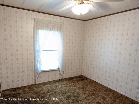 221 Burgess St, Lyons, MI 48851 photo 26