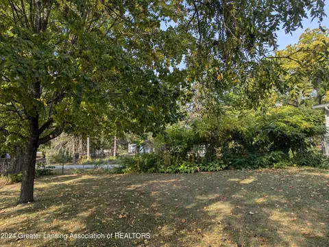 221 Burgess St, Lyons, MI 48851 photo 62