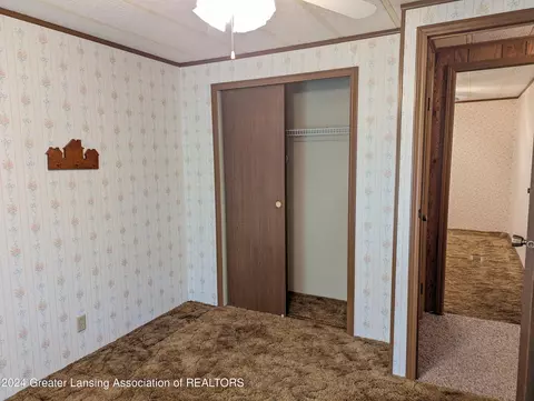 221 Burgess St, Lyons, MI 48851 photo 27
