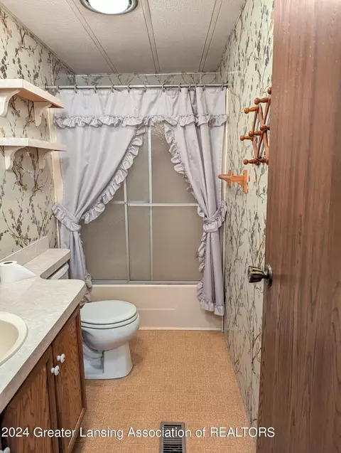 221 Burgess St, Lyons, MI 48851 photo 25