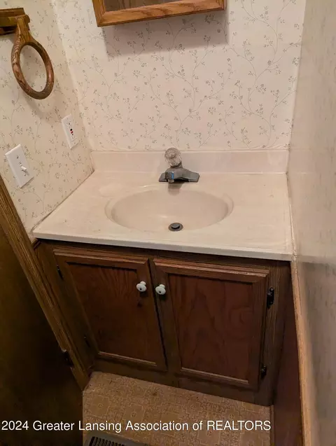 221 Burgess St, Lyons, MI 48851 photo 32