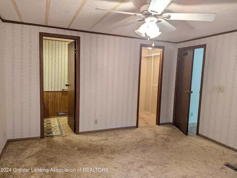 221 Burgess St, Lyons, MI 48851 photo 16