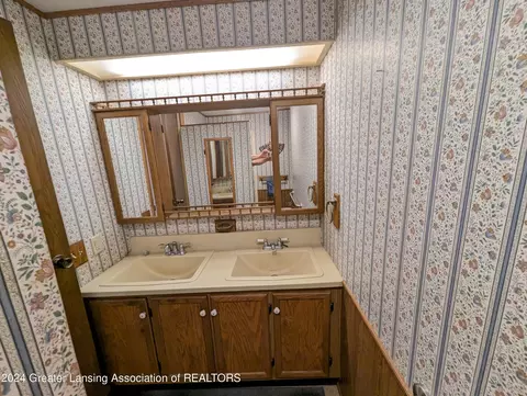 221 Burgess St, Lyons, MI 48851 photo 20