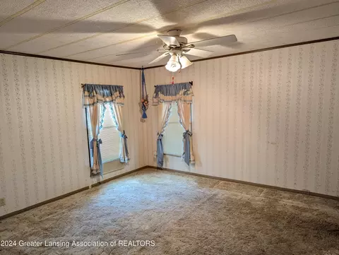 221 Burgess St, Lyons, MI 48851 photo 14