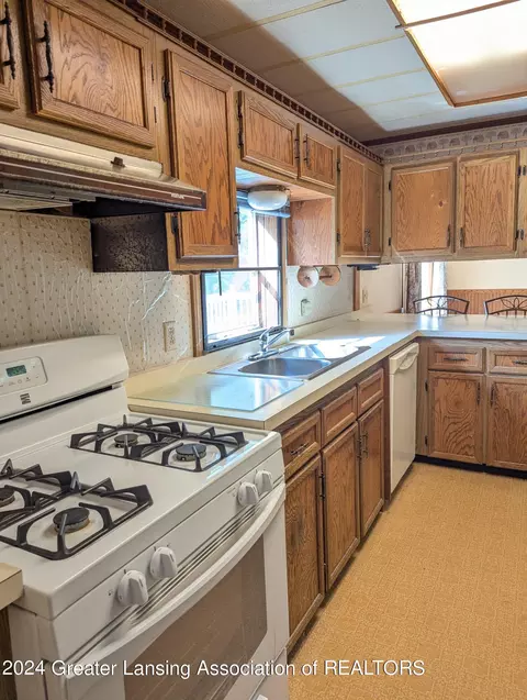 221 Burgess St, Lyons, MI 48851 photo 2